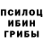 Псилоцибиновые грибы Cubensis andriy pritula
