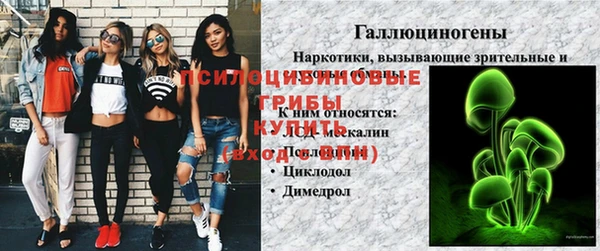 первитин Алексин