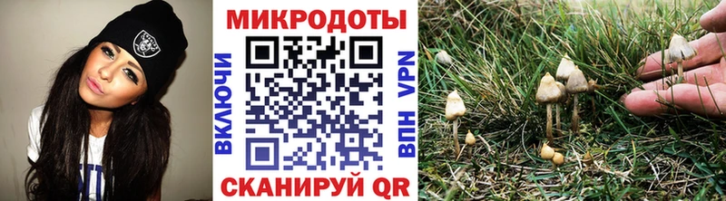 Псилоцибиновые грибы MAGIC MUSHROOMS  где купить наркоту  Почеп 